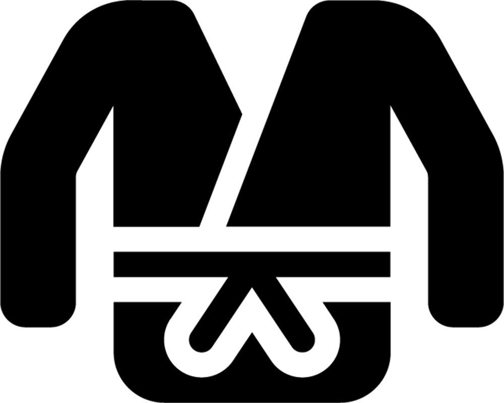 Judo icon